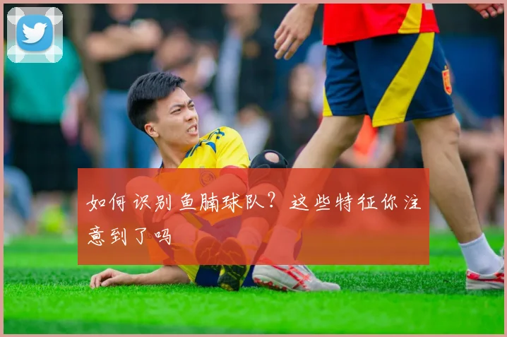 如何识别鱼腩球队?这些特征你注意到了吗